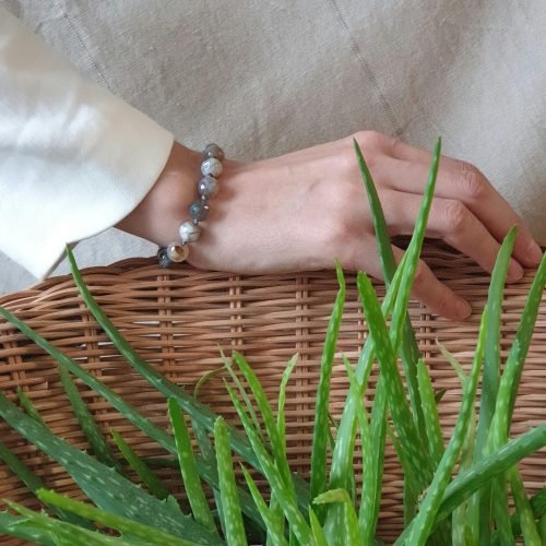 Fresh aloe vera in basket – natural healing remedy Basket filled with fresh aloe vera leaves representing the healing powers of aloe vera