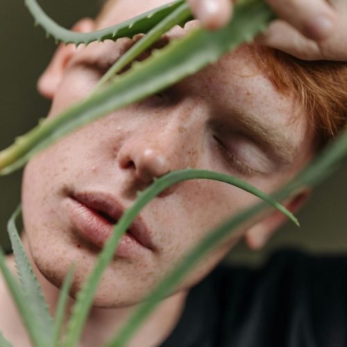 Natural skincare with aloe vera Young man holding aloe near his face, highlighting the healing powers of aloe vera